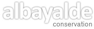 Logotipo con la palabra “albayalde” en gris con sombra y el texto “conservation” en pequeño sobre fondo blanco.